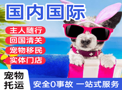 通化三源浦机场物流国际宠物托运 【国
